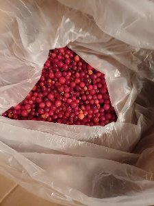 Клюква замороженная 